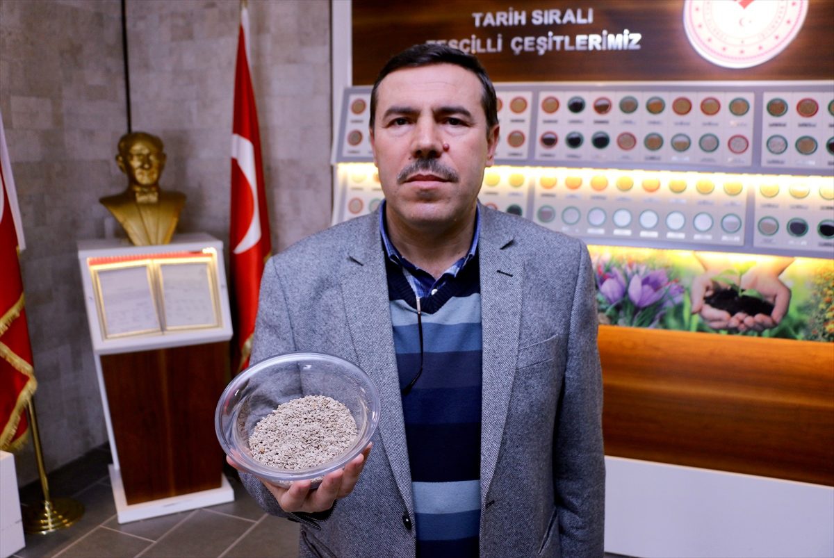 Yerli domates tohumu özellikle kadın çiftçiler için yeniden gün yüzüne çıkarıldı