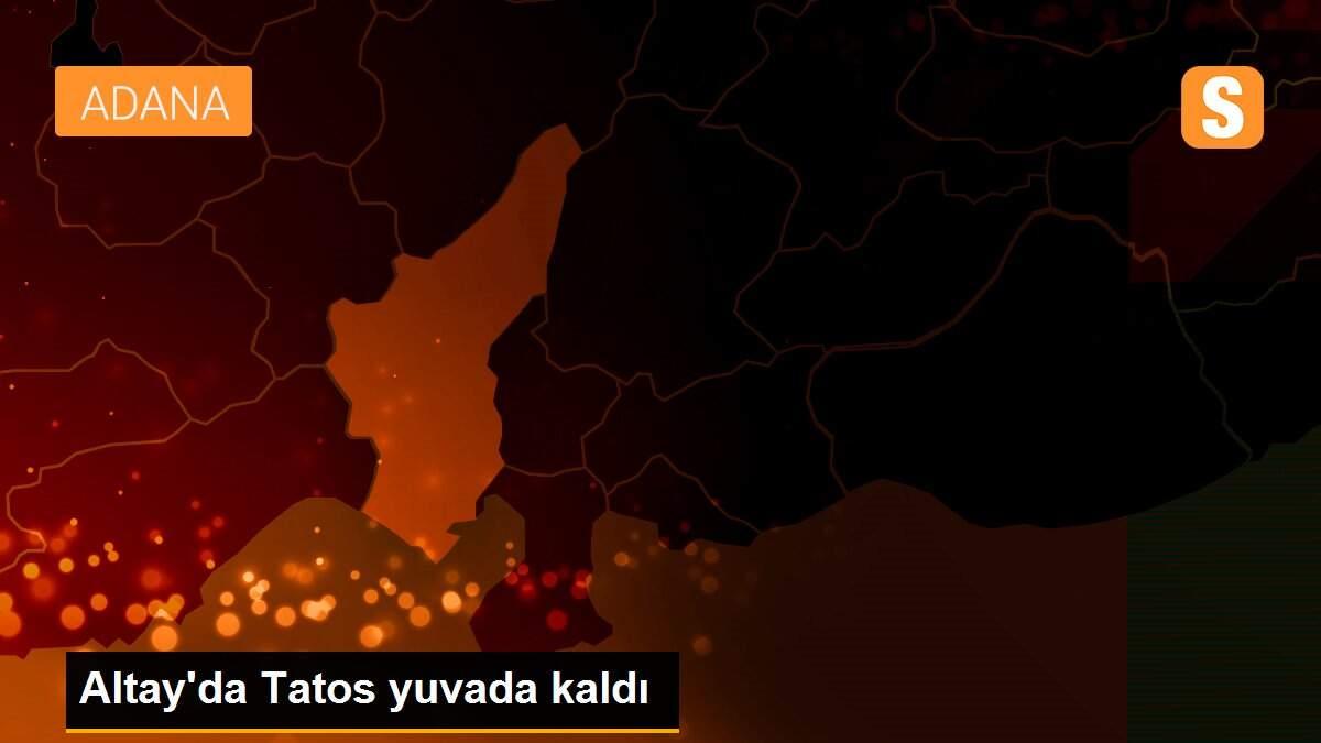 Altay\'da Tatos yuvada kaldı