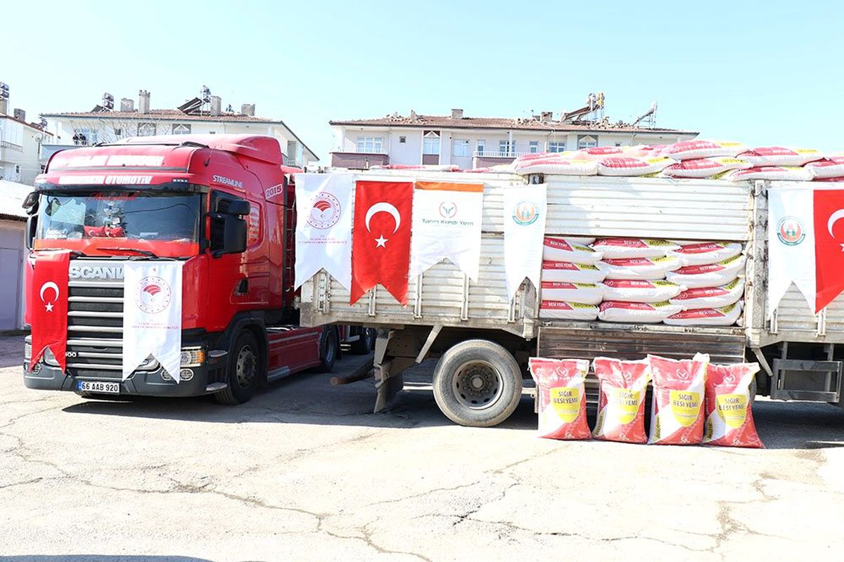 Depremzedelerin yaraları sarılıyor