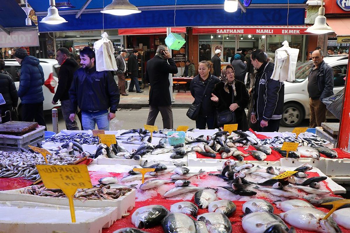 Fiyatı düşen hamsiye hücum