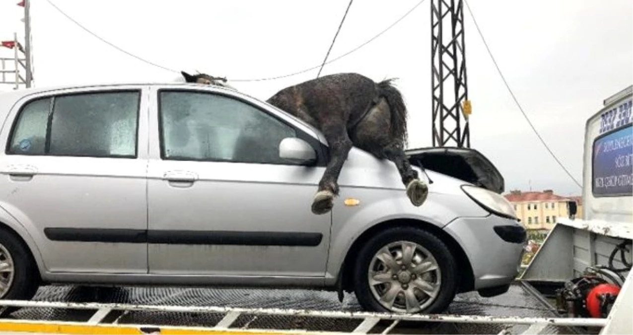 İstanbul\'da korkunç kaza! Başıboş at, aracın ön camından içeri girdi