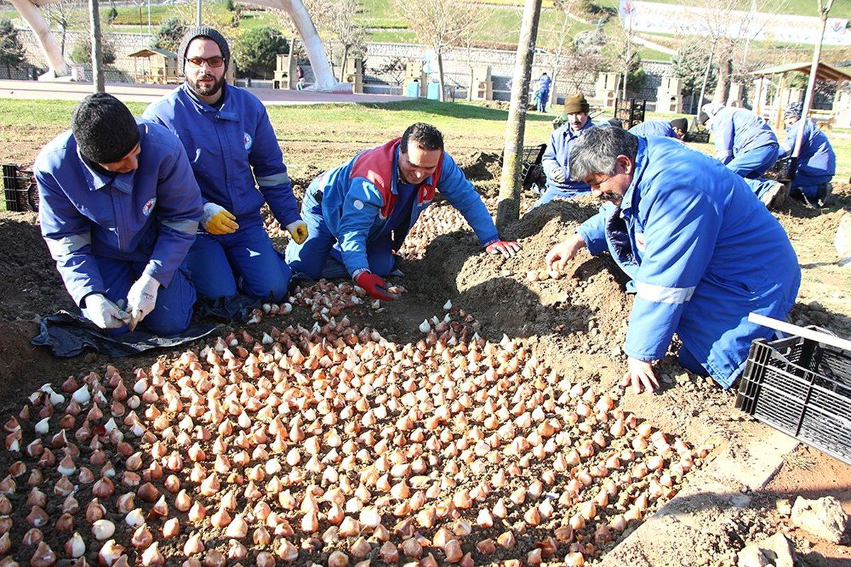 Kağıthane Nisan\'da rengarenk olacak