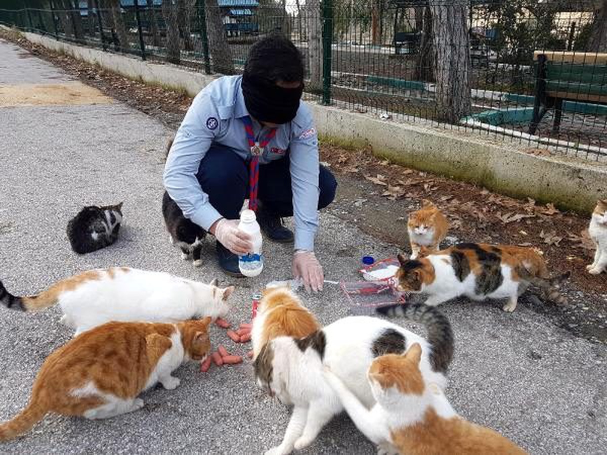 köpek korkusunu, gözleri kapalı besleme yaparak yendiler