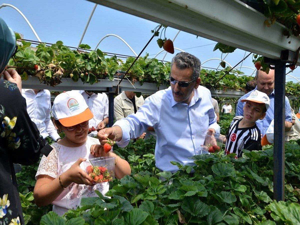 Samsun çiftçisine 2019'da 303 milyon TL destek