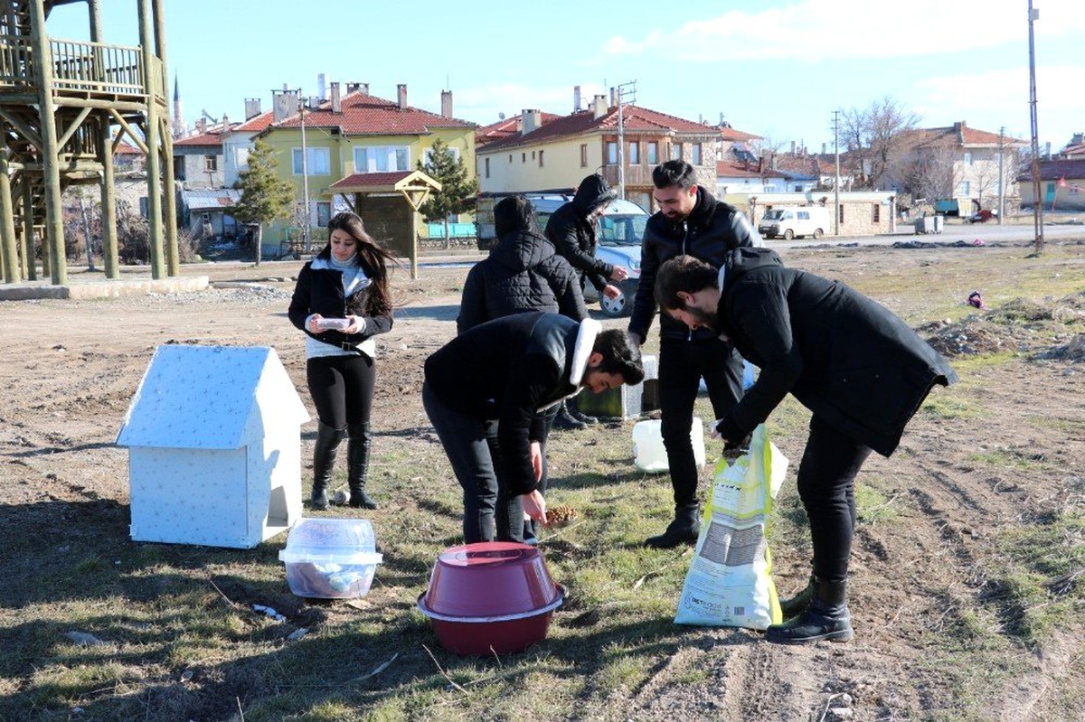 Üniversite öğrencilerinden sokak hayvanlarına "sıcak bir yuva" projesi