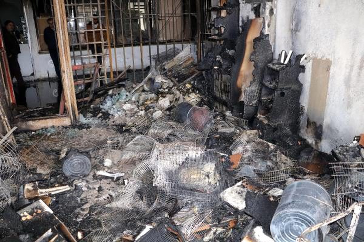 Yozgat\'ta petshopta çıkan yangında kuşlar telef oldu
