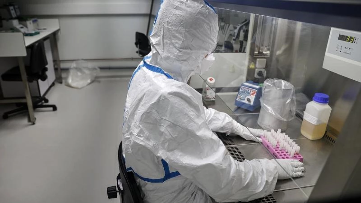Çin\'in ardından Avustralyalı bilim insanları da koronavirüsü kopyalamayı başardı
