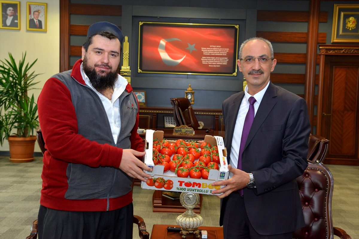 Kırşehir\'de 500 kişiye istihdam sağlayacak jeotermal serada ilk ürünler alındı