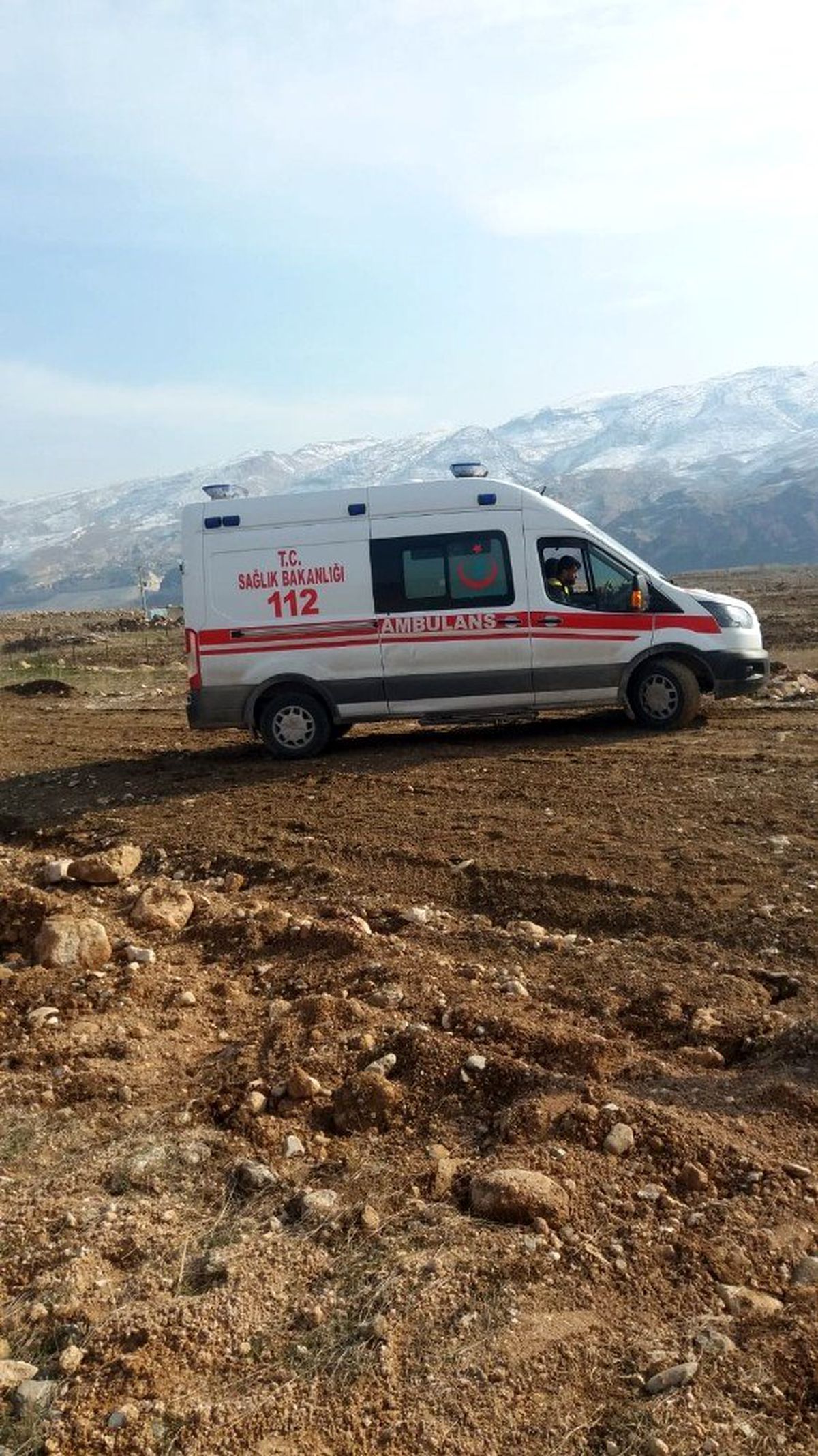 Köpek 11 yaşındaki çocuğa saldırıp ısırdı