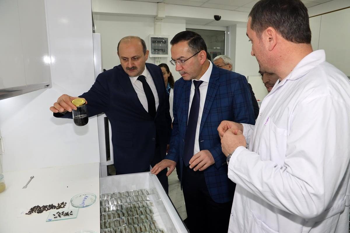 Ordu\'nun bal üretiminde marka olması hedefleniyor