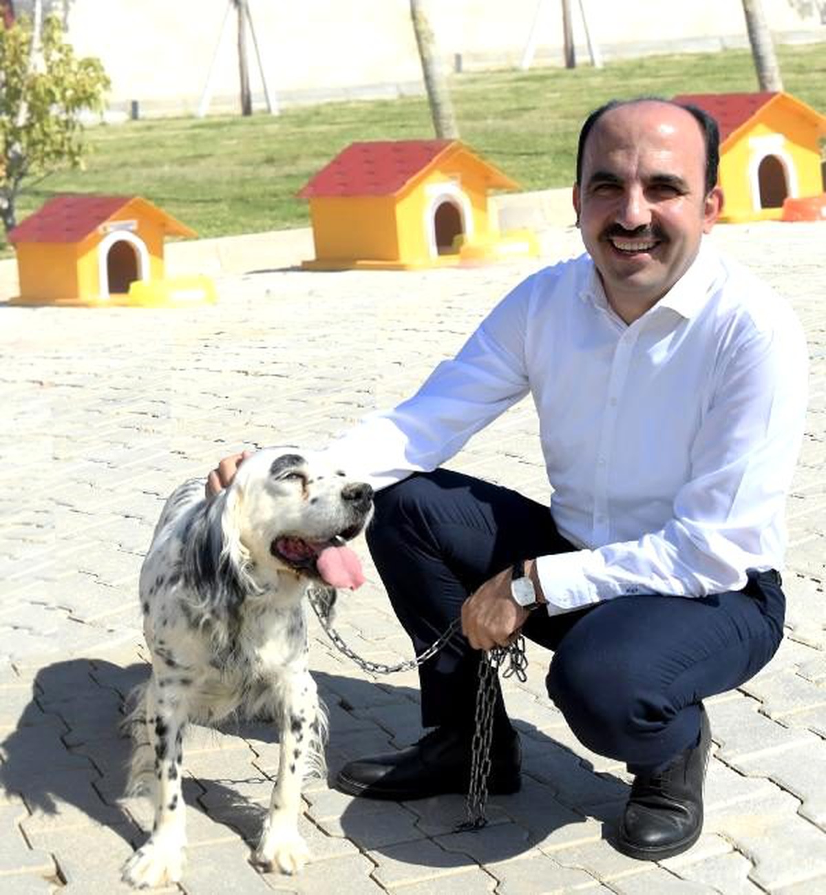 Sokak hayvanları, sahiplendirilerek sıcak yuvaya kavuşuyor