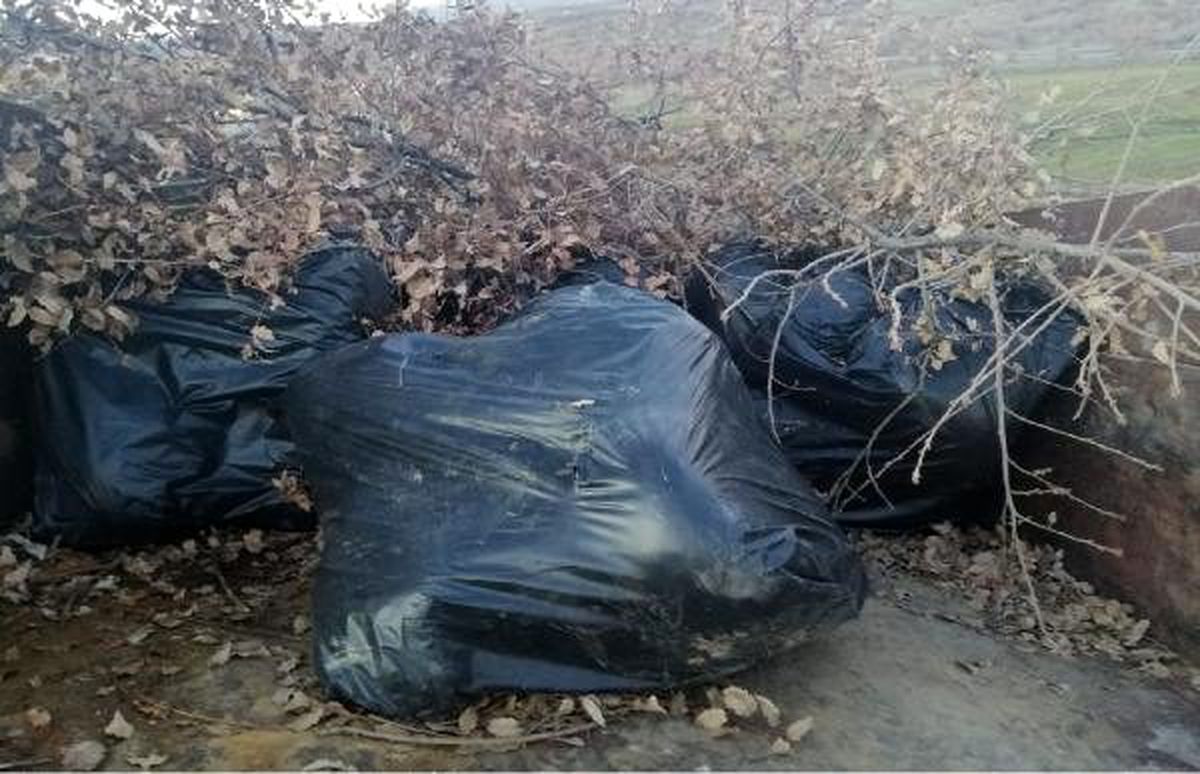 Traktör römorkunda 250 kilo esrar ele geçirildi