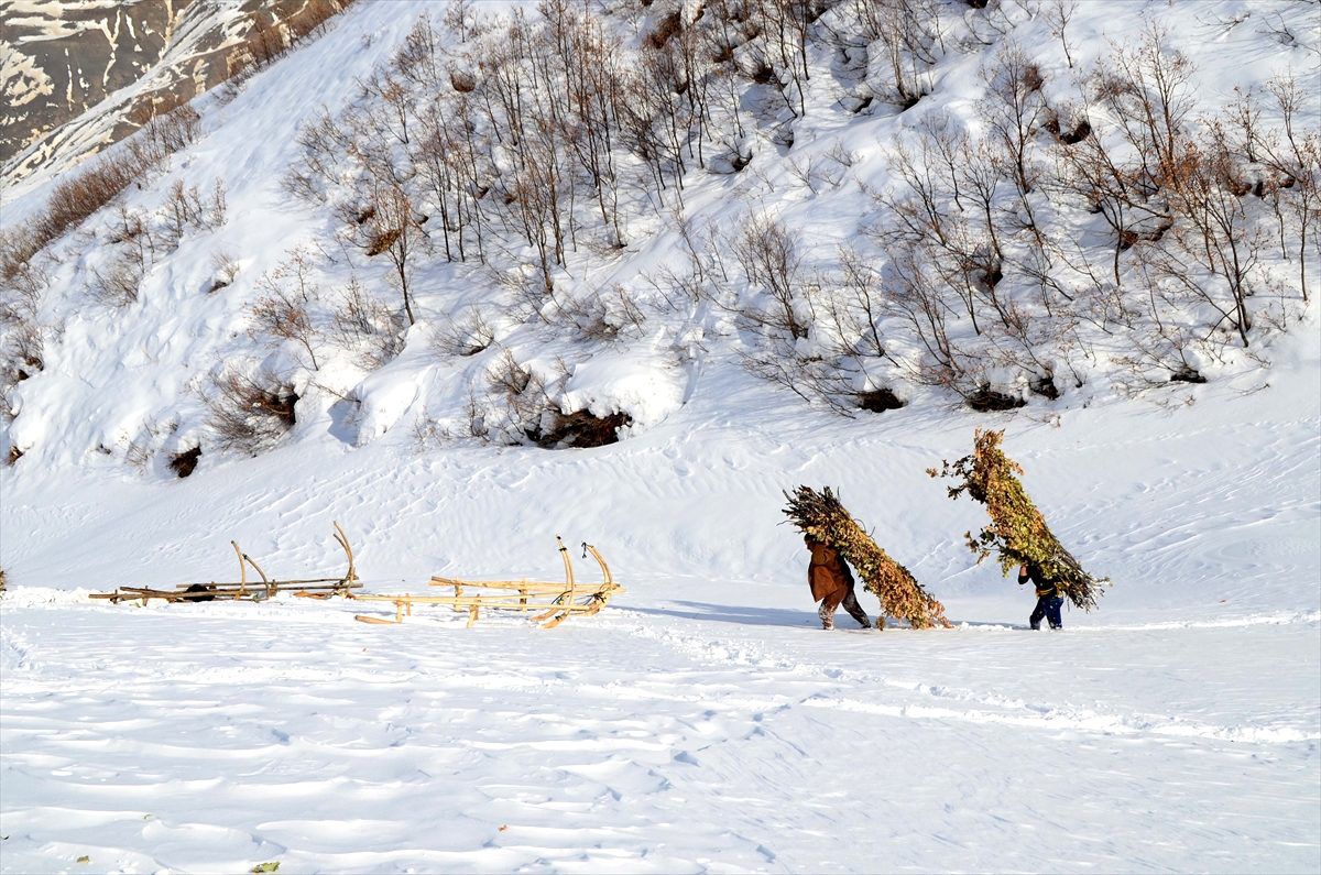 Van ve Bitlis\'te soğuk hava etkisini sürdürüyor