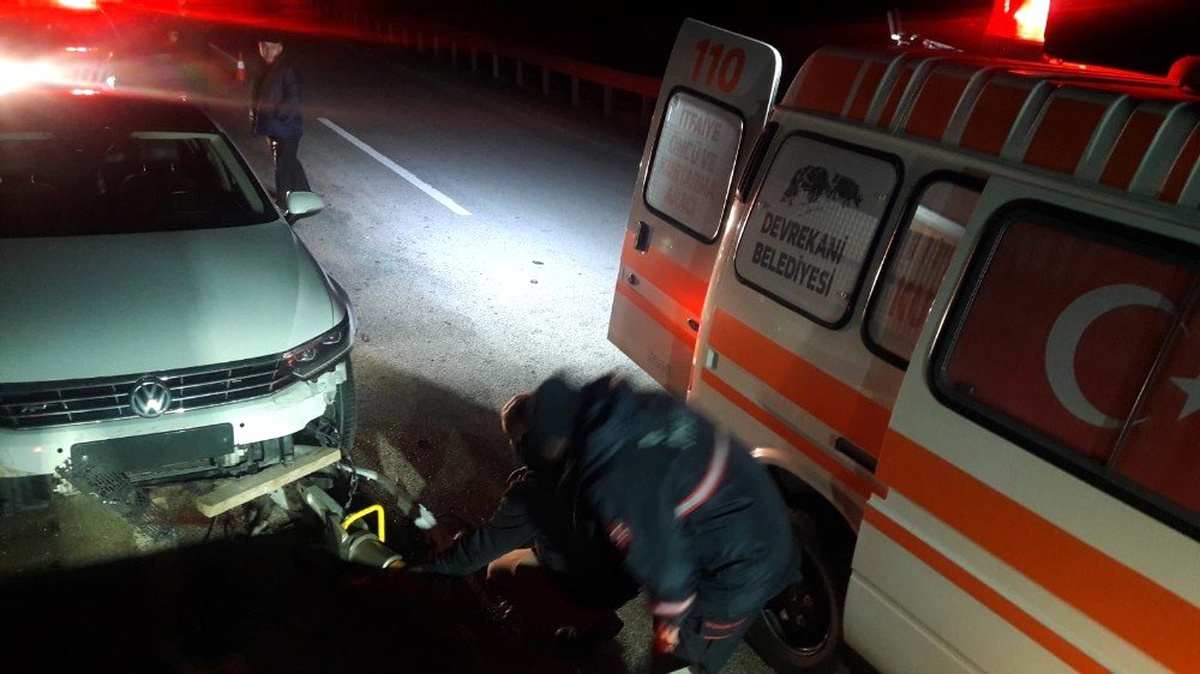 Aniden yola çıkan domuza otomobil çarptı