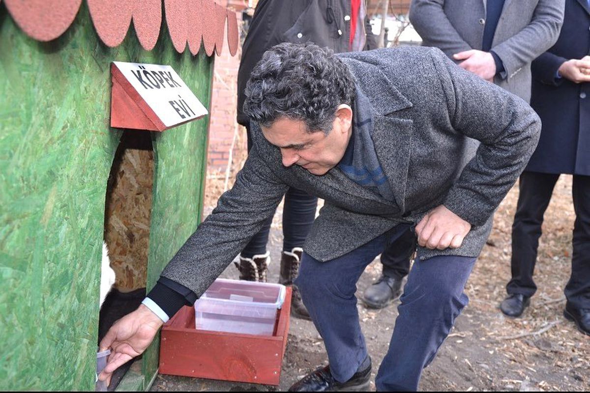 Ardahan\'da artık sokak hayvanlarının da evi var