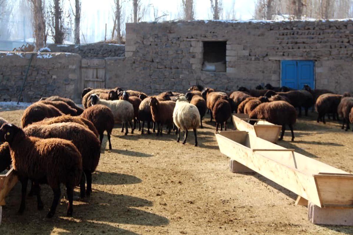 Ekipler, hayvan varlıklarının tespiti için çalışıyor