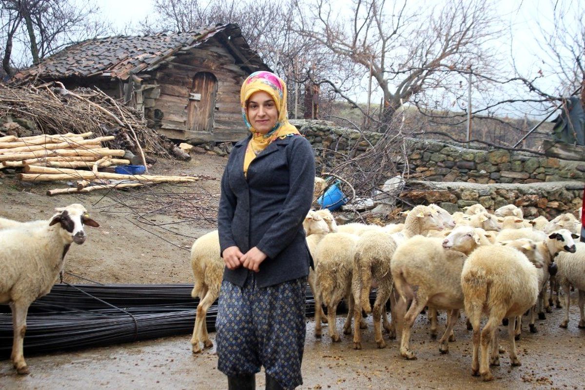 Genç kadın, 19 yaşında aldığı devlet desteğiyle 3 yıldır hayvancılık yapıyor