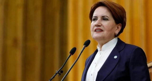 Meral Akşener,: Erken seçim, İYİ Parti, Elazığ, deprem,