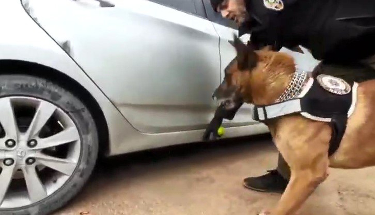 Narkotik köpeğinden kaçamayan otomobilin yakıt deposundan esrar fışkırdı
