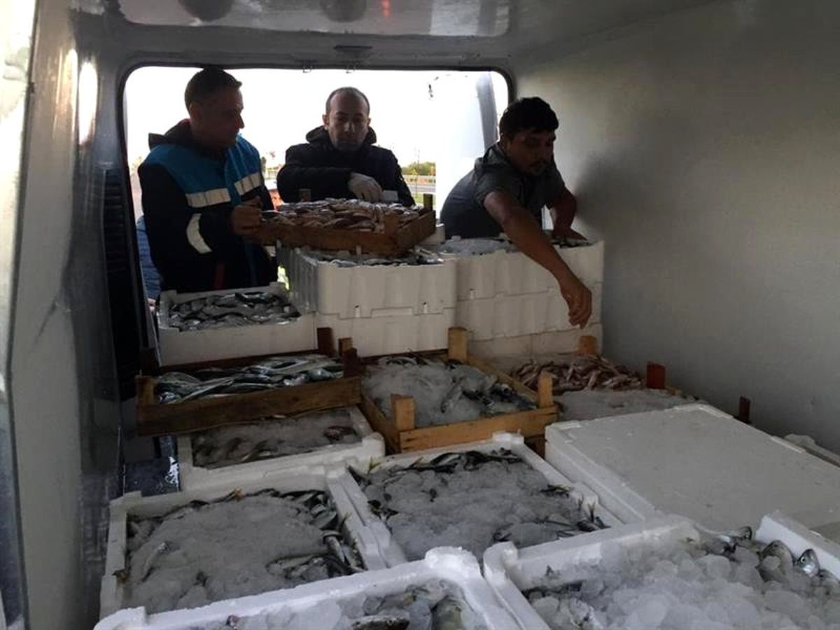 Ordu\'da su ürünlerine sıkı denetim