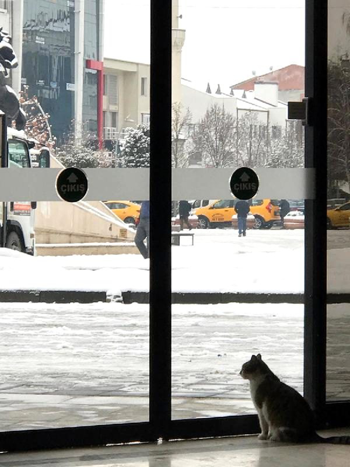 Soğuktan sığındıkları belediye binasında yaşamaya başladılar