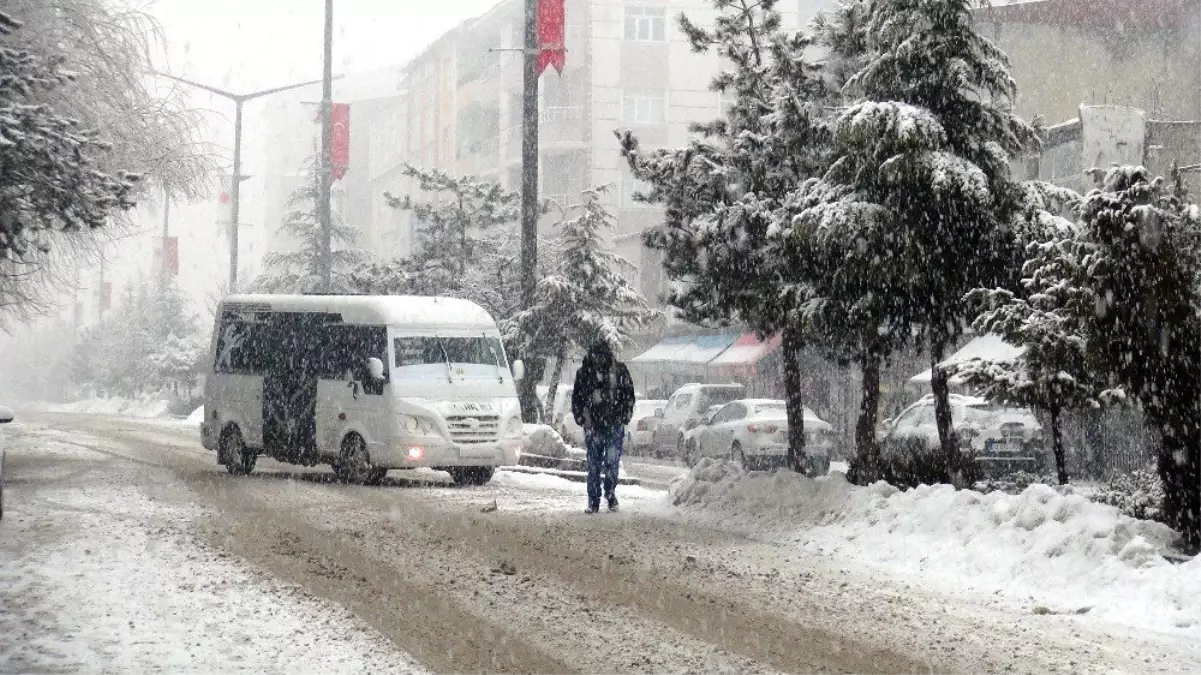 Ahlat\'ta yoğun kar yağışı