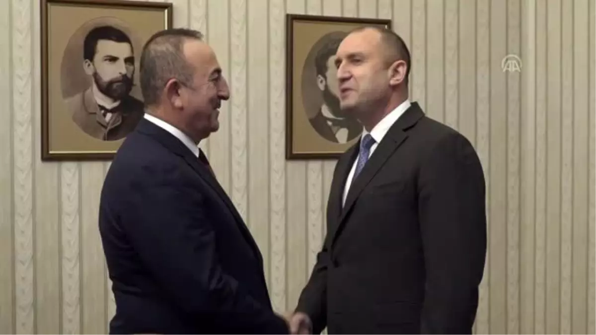 Bakan Çavuşoğlu, Bulgaristan Cumhurbaşkanı Radev tarafından kabul edildi