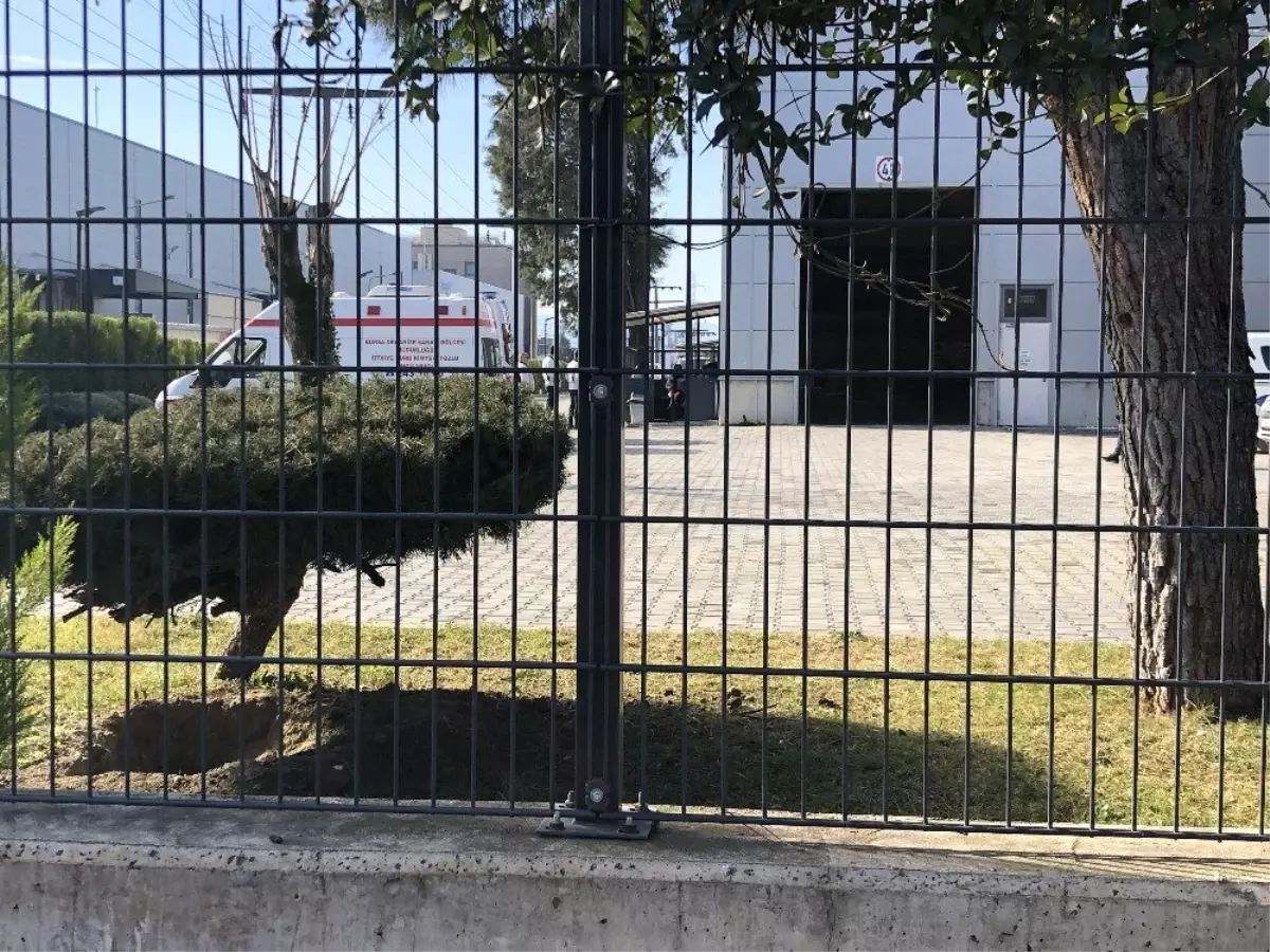 Bakım yaptığı pres makinesine sıkışarak can verdi
