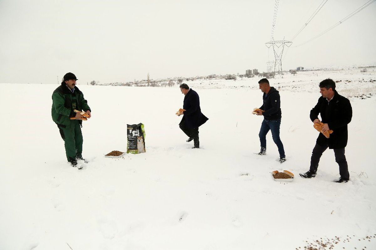 Başkan Cabbar, hayvanlar için doğaya yiyecek bıraktı