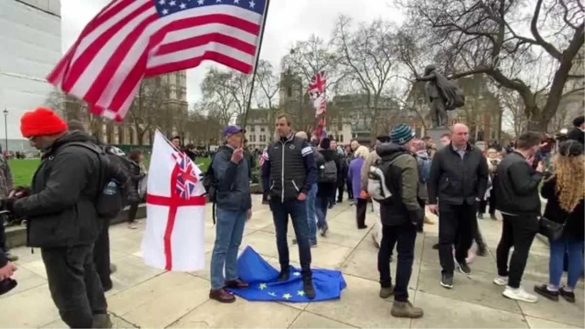 Brexit yandaşları parlamento çevresinde toplandı (2)