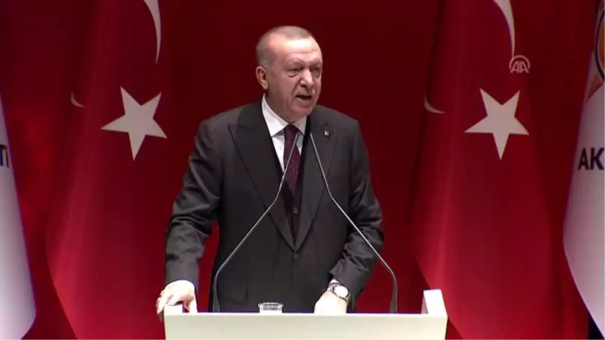 Cumhurbaşkanı Erdoğan: "Libya konusunda hiç kimsenin Türkiye\'ye söz söyleme hakkı yoktur"