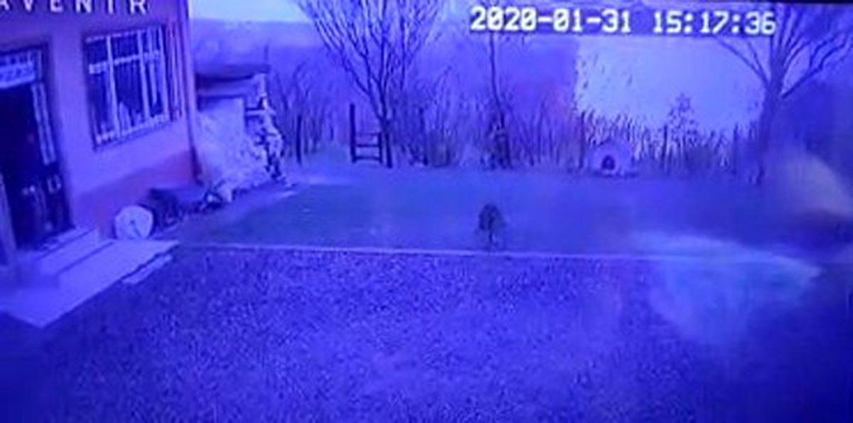 Dehşet anları saniye saniye kaydedildi