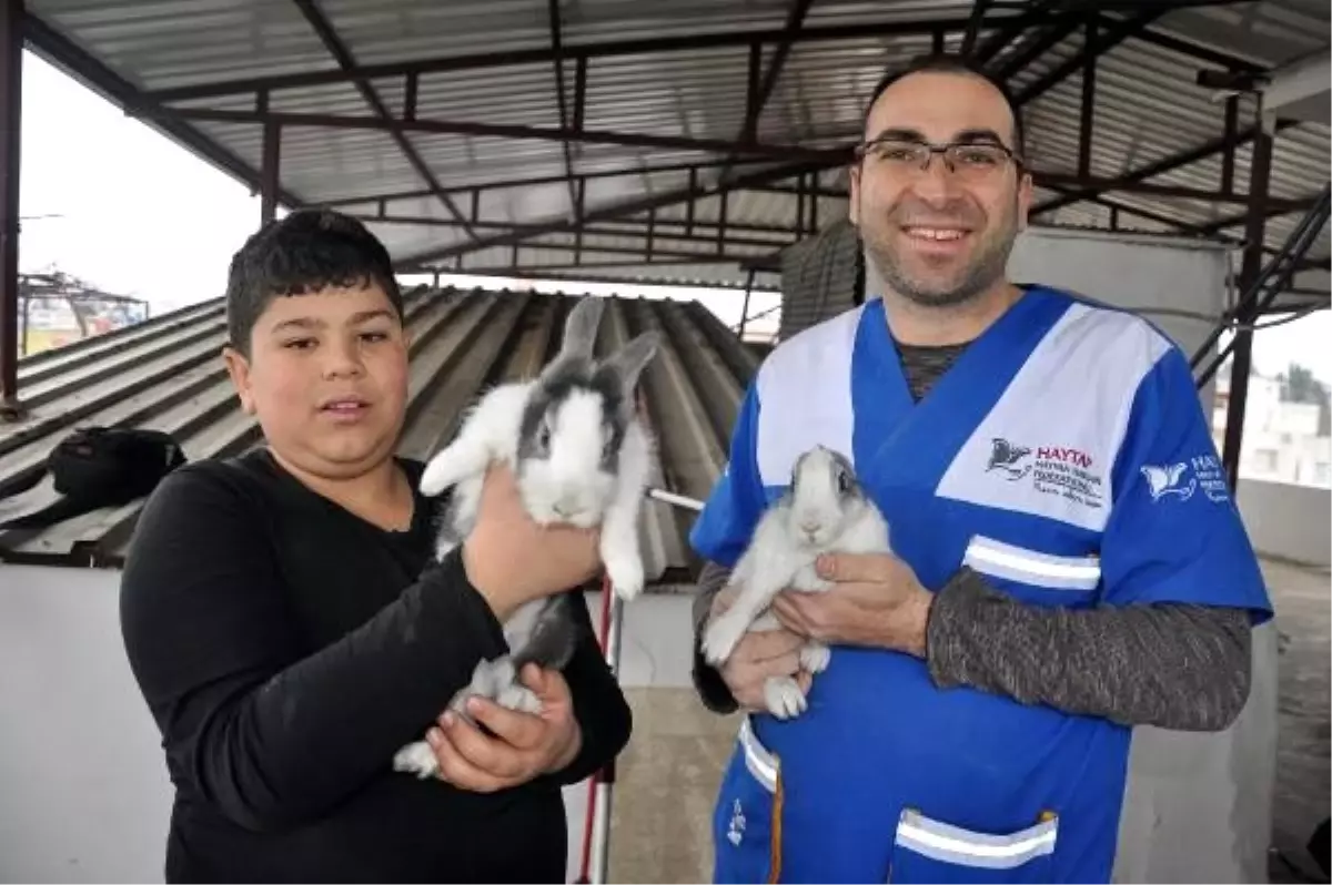 Evin havalandırma boşluğuna düşen tavşanlar kurtarıldı