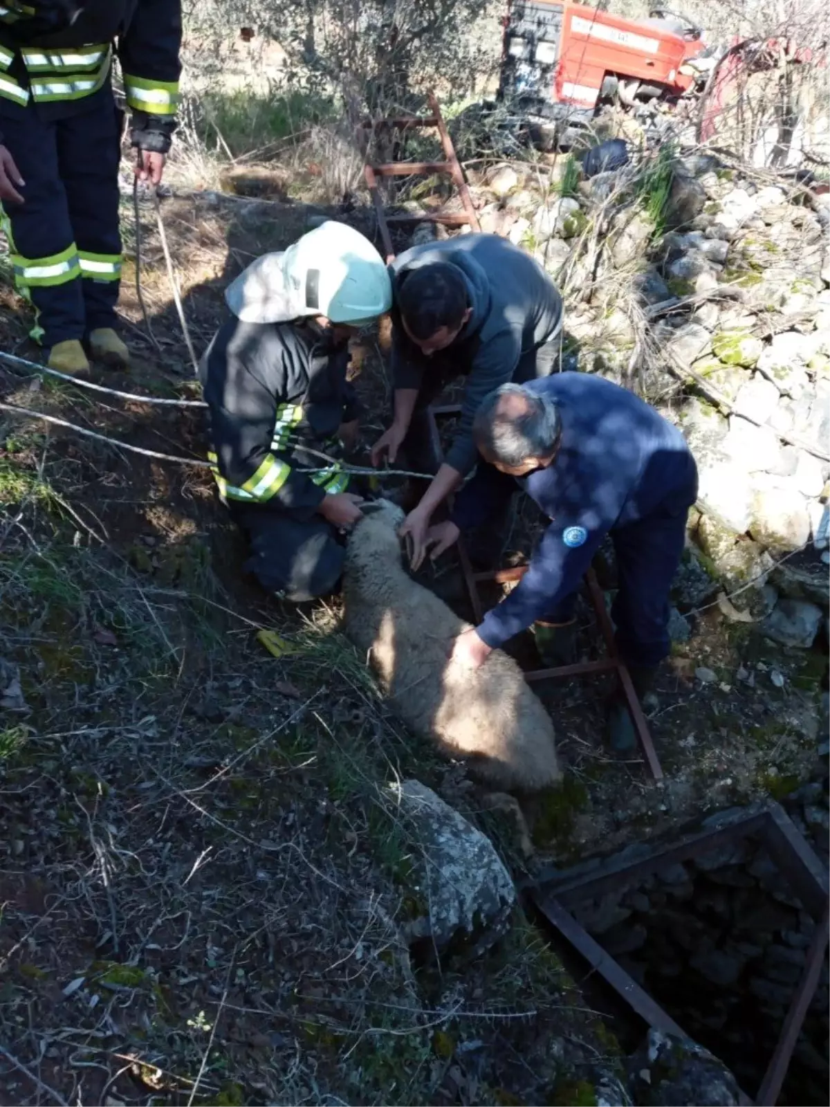 Kör kuyuya düşen kuzu itfaiyeciler tarafından kurtarıldı