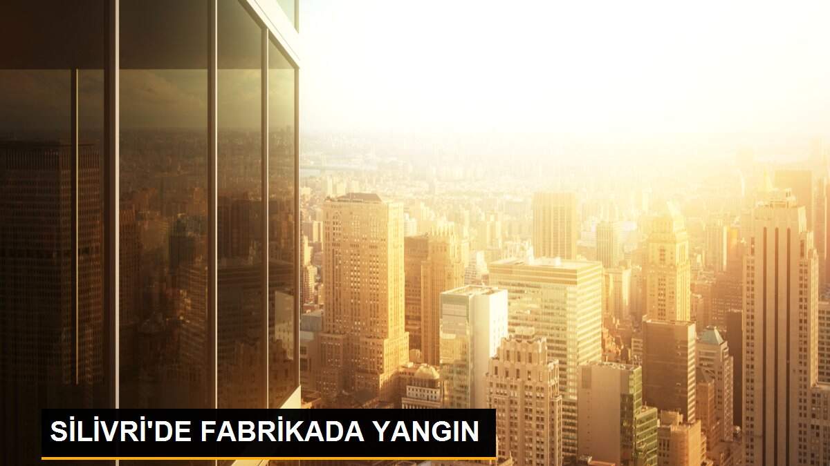SİLİVRİ\'DE FABRİKADA YANGIN