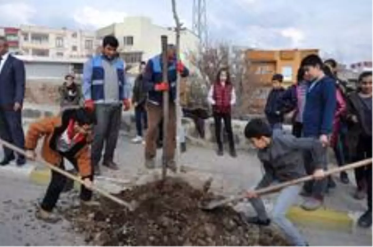 Cizre Belediyesi yeşil bir gelecek için çalışıyor