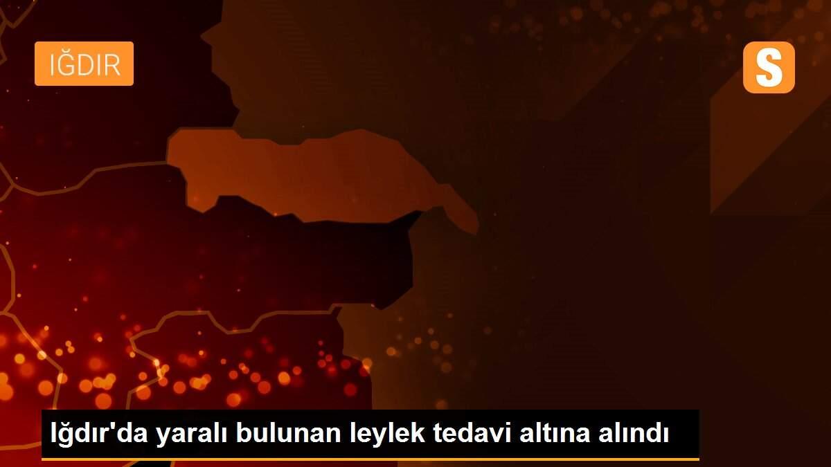 Iğdır\'da yaralı bulunan leylek tedavi altına alındı