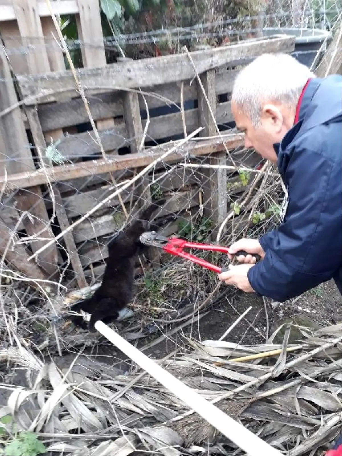 Tellere takılan kediyi itfaiye kurtardı