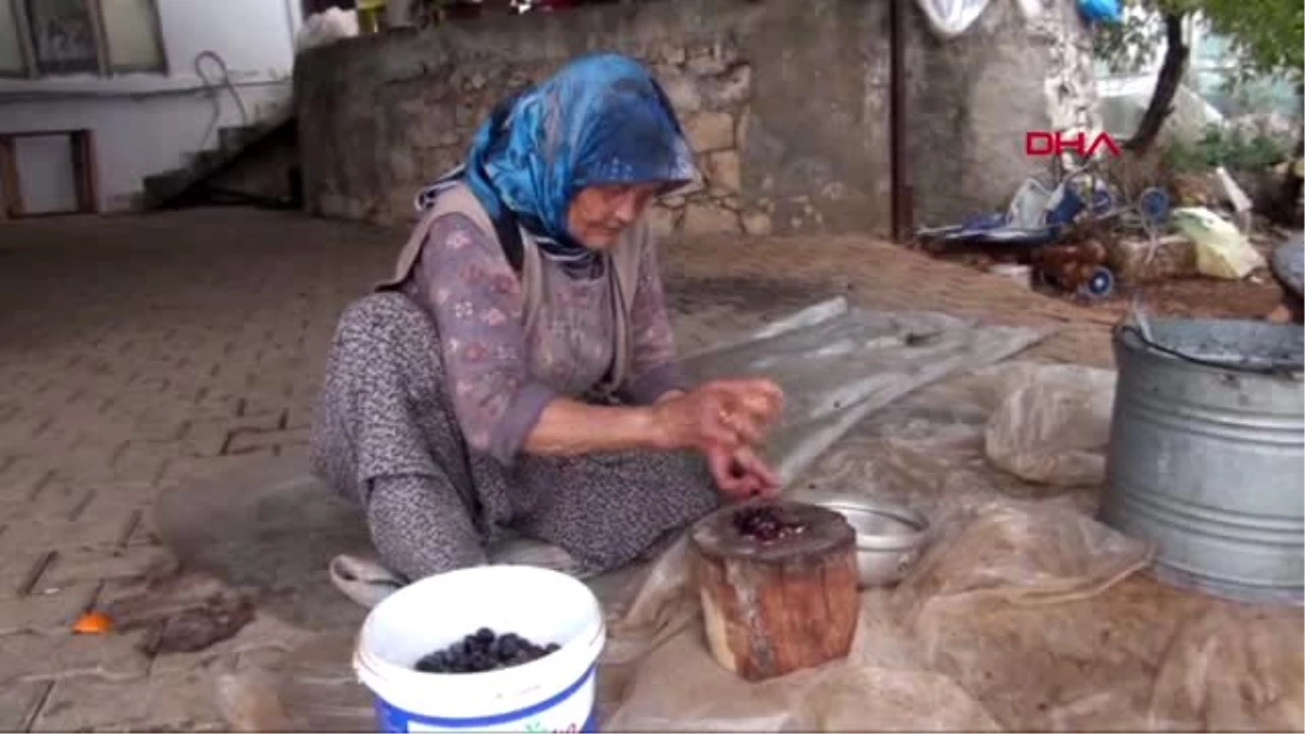 Antalya atalarından kalma yöntemle zeytinyağı üretiyorlar