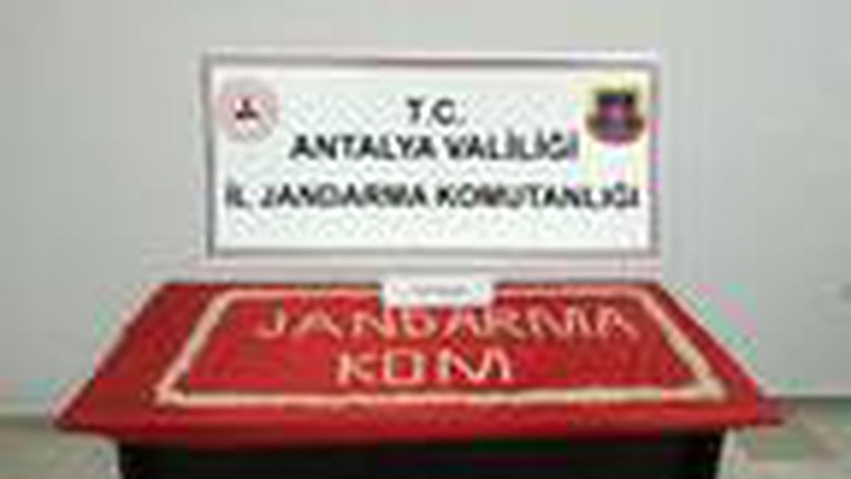 Jandarmadan uyuşturucu operasyonu