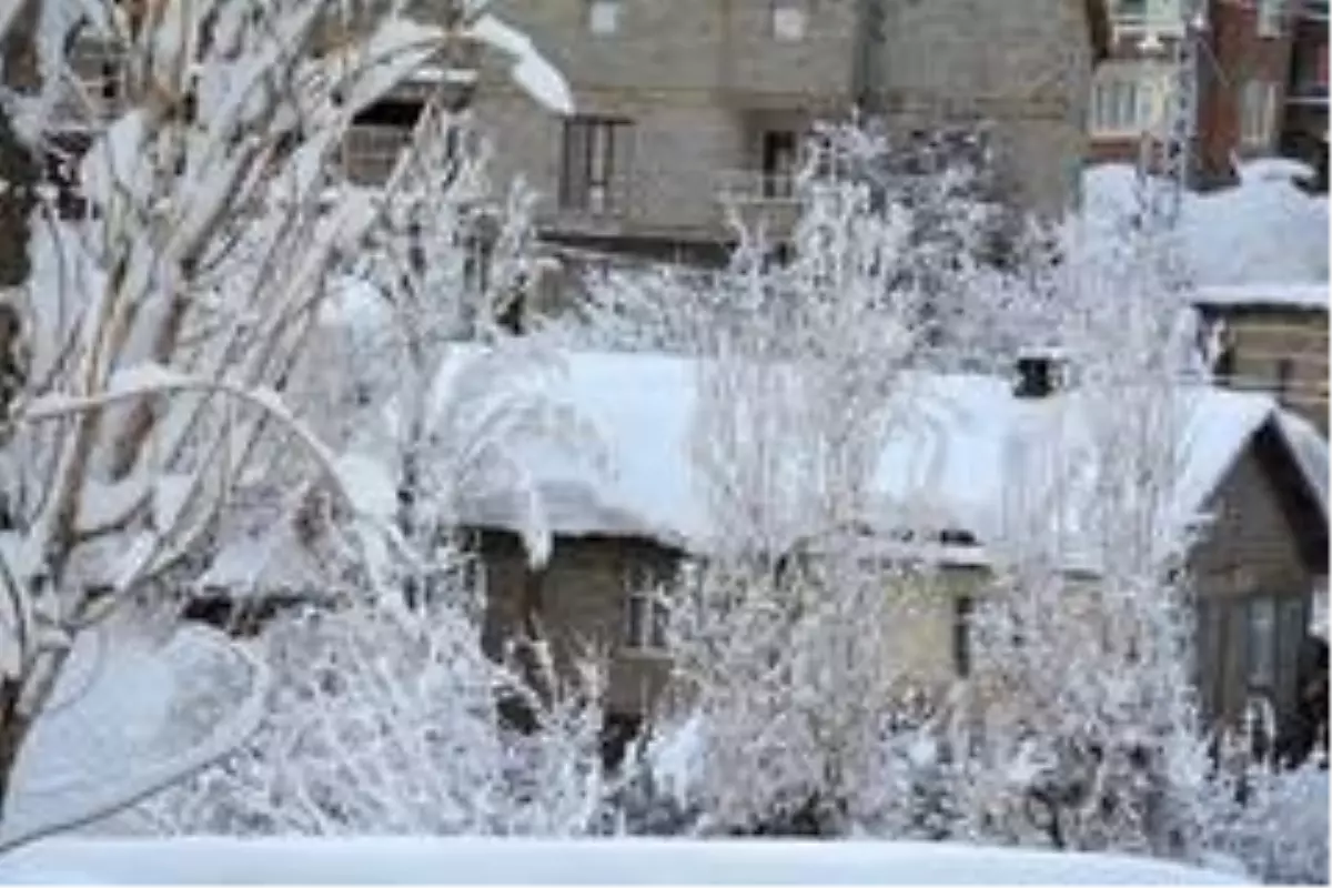 Hakkari\'de 20 yerleşim yolu kapandı