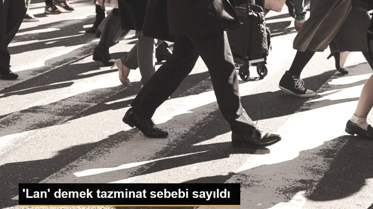 \'Lan\' demek tazminat sebebi sayıldı