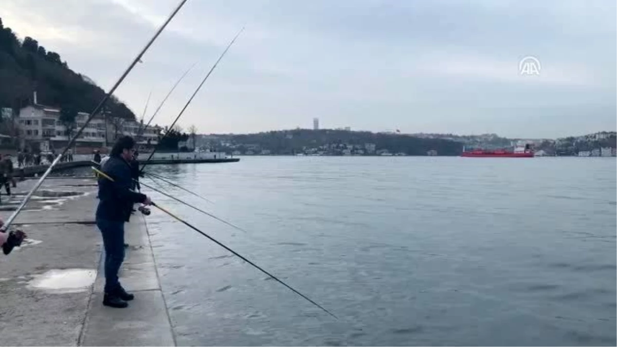 Beykoz\'da balıkçılar sahillere akın etti