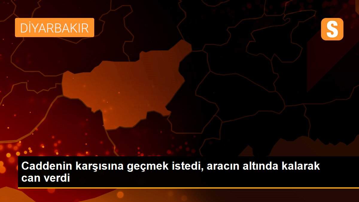 Caddenin karşısına geçmek istedi, aracın altında kalarak can verdi
