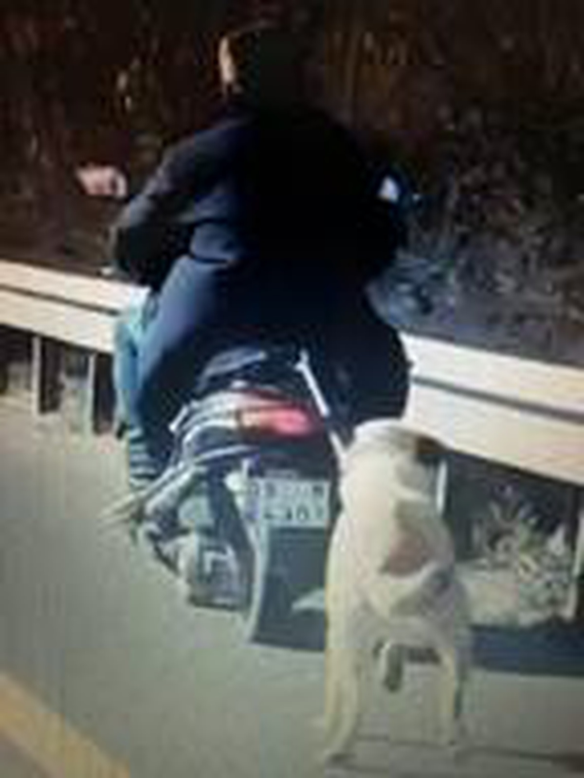 Köpeği motosikletin arkasına bağlayarak götüren sürücüye para cezası
