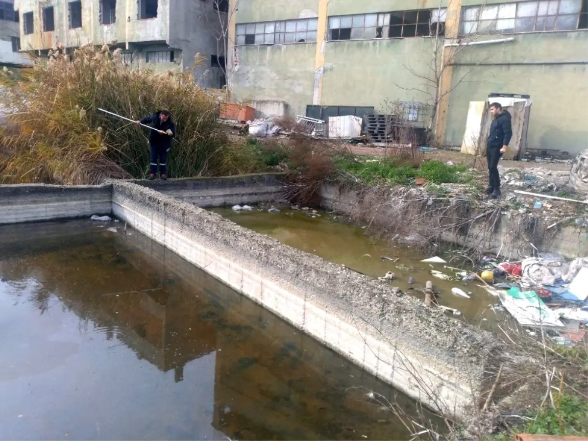 Mustafakemalpaşa\'da haşereyle mücadele sürüyor