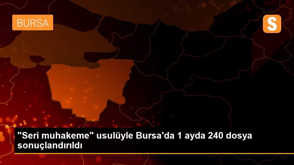 "Seri muhakeme" usulüyle Bursa\'da 1 ayda 240 dosya sonuçlandırıldı