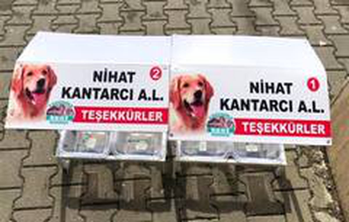 Sokak hayvanları için aşevleri yapıldı