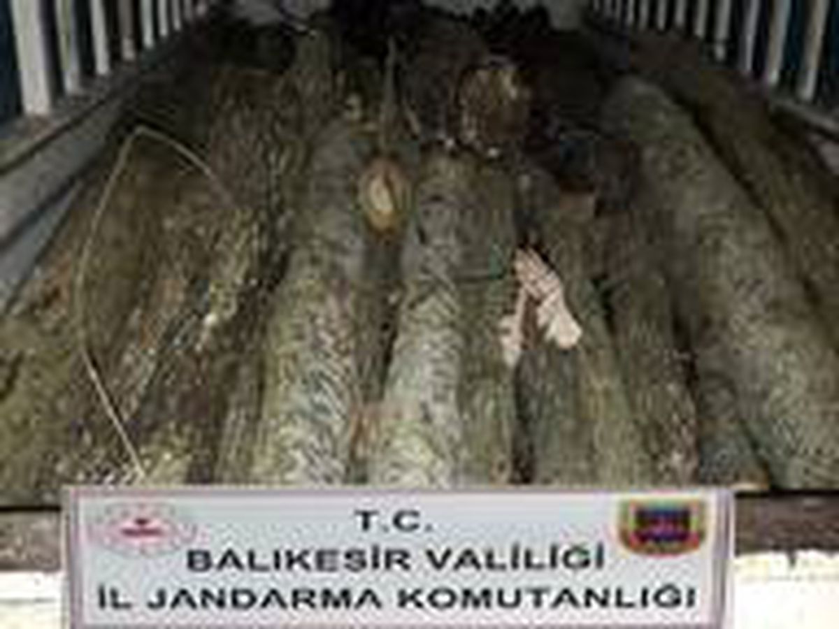 Balıkesir\'de ormancı operasyonu: 23 gözaltı