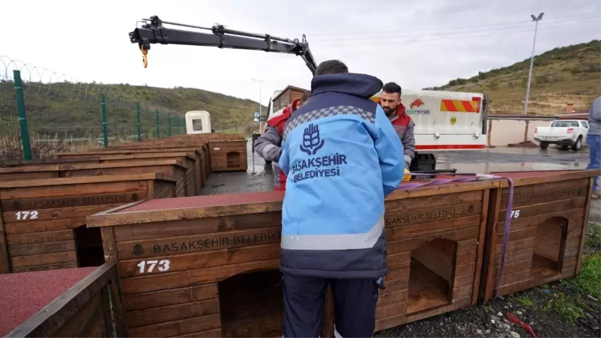 Başakşehir\'de sokak hayvanları için kış seferberliği